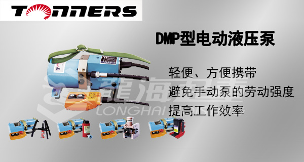 DMP小型电动液压泵图片