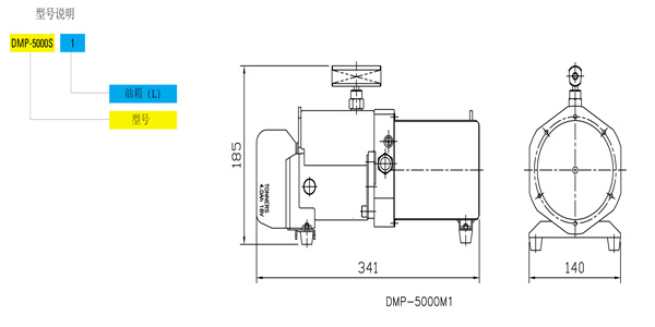 DMP电池泵尺寸图